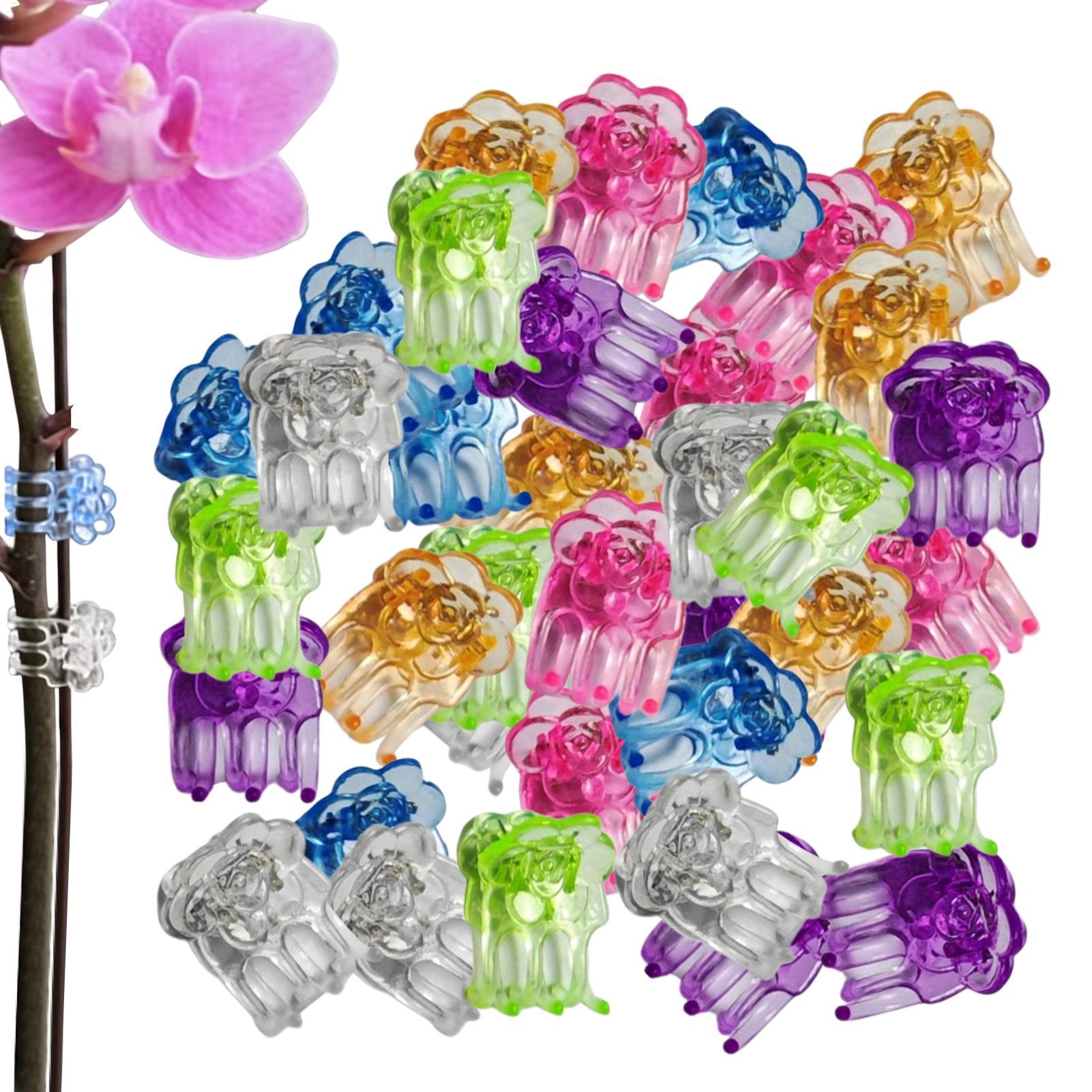 Orchid Potting Mix - مشابك الأوركيد 60 قطعة، مشابك دعم