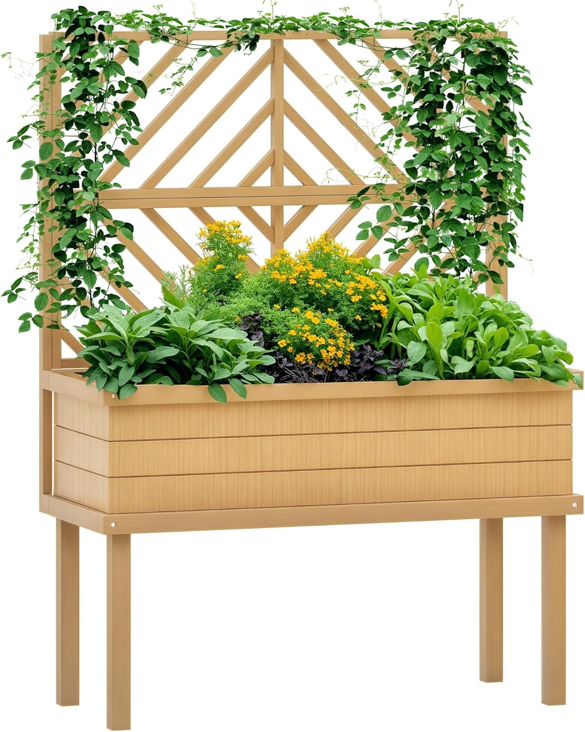 Raised Bed Planter Box - حوض زراعة مرتفع مع شبكة تسلق