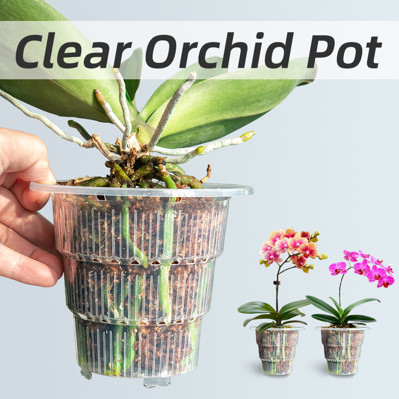 Orchid Potting Mix - أوعية أوركيد بلاستيكية شفافة مع ثقوب