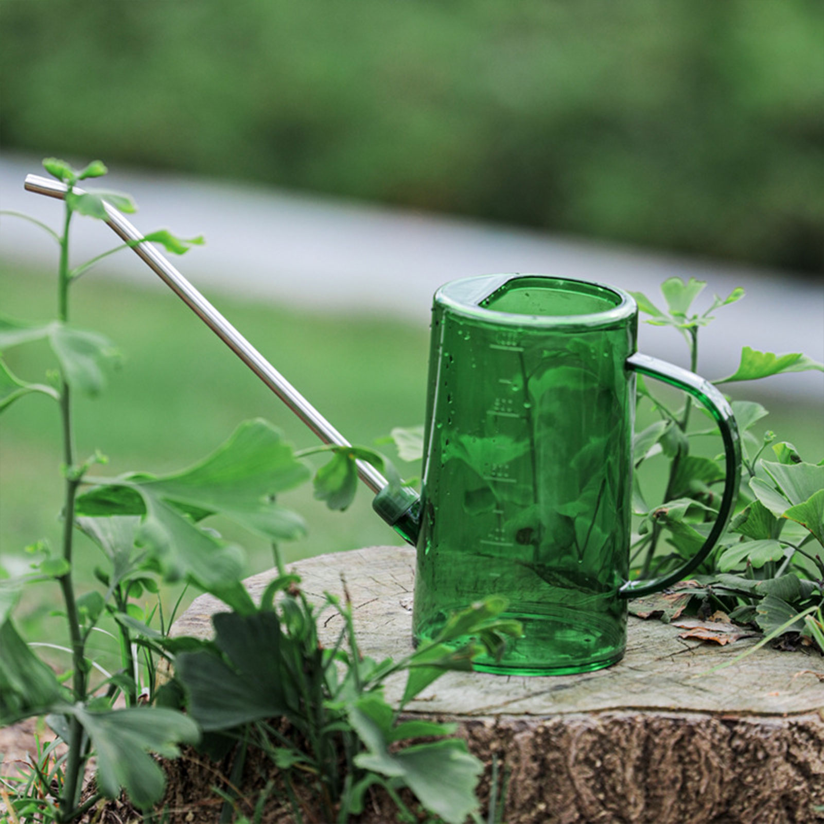 Watering Can Long Spout - إبريق سقي للنباتات الداخلية سعة 1