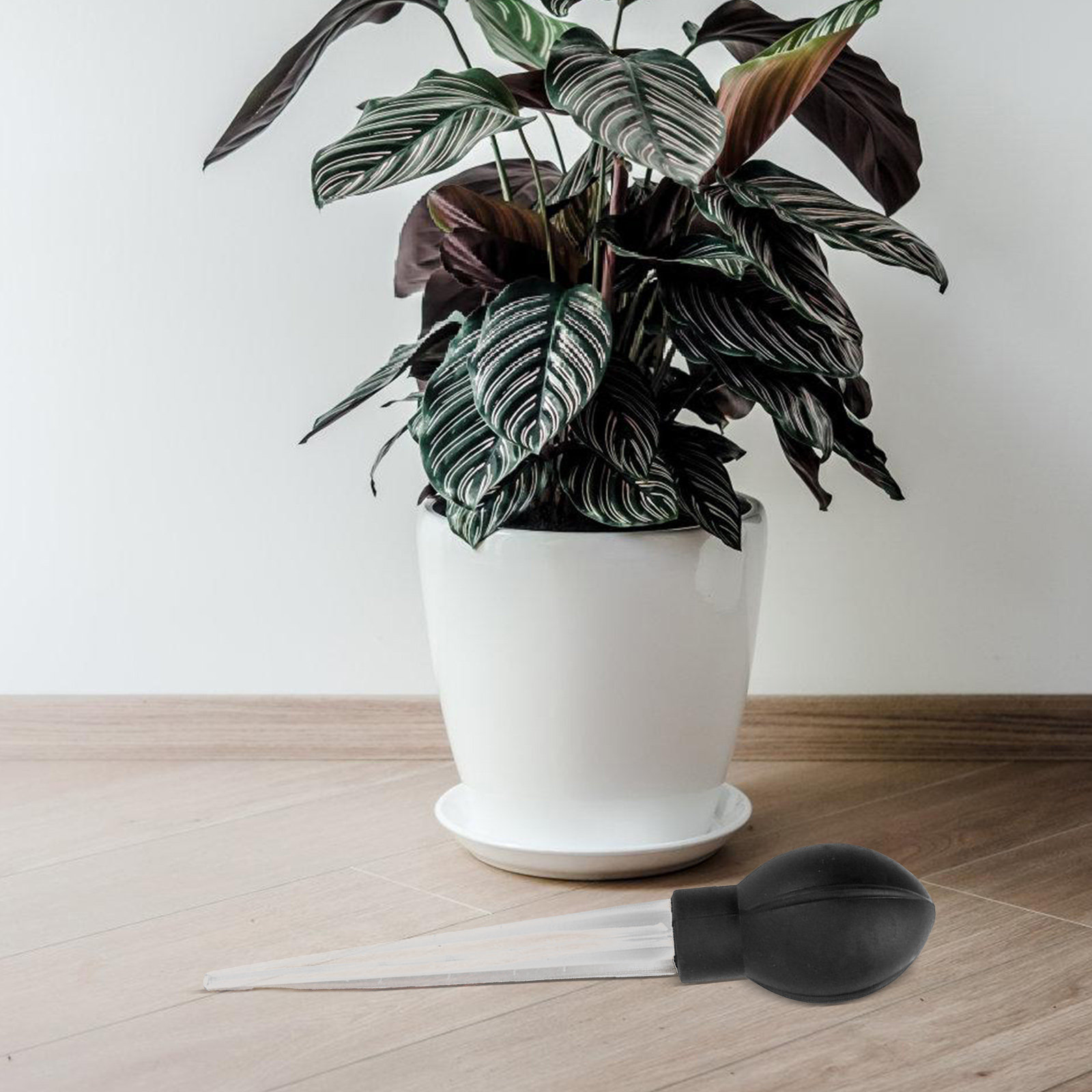 Gardening Tools Water - صينية نباتات ماصة للماء، أداة فعالة