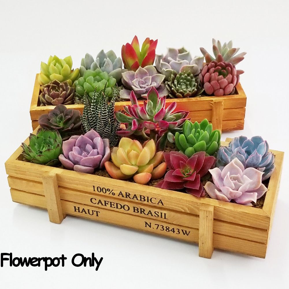 Gardening Tools Vintage - صناديق عصارية مستطيلية مزخرفة ، صناديق