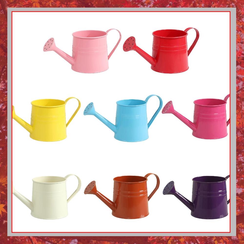 Watering Can Long Spout - إبريق ماء طويل الفوهة للأطفال والكبار