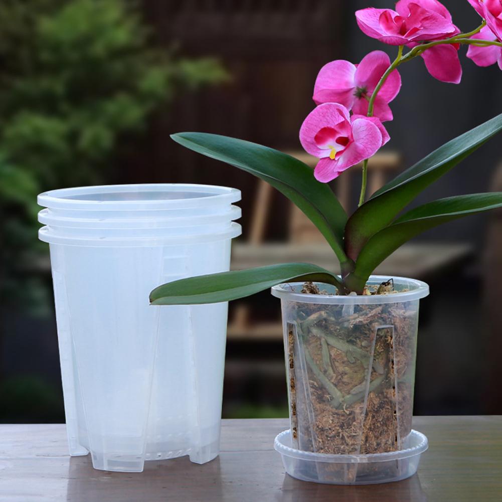 Orchid Potting Mix - وعاء زراعة شفاف من الأكريليك مع