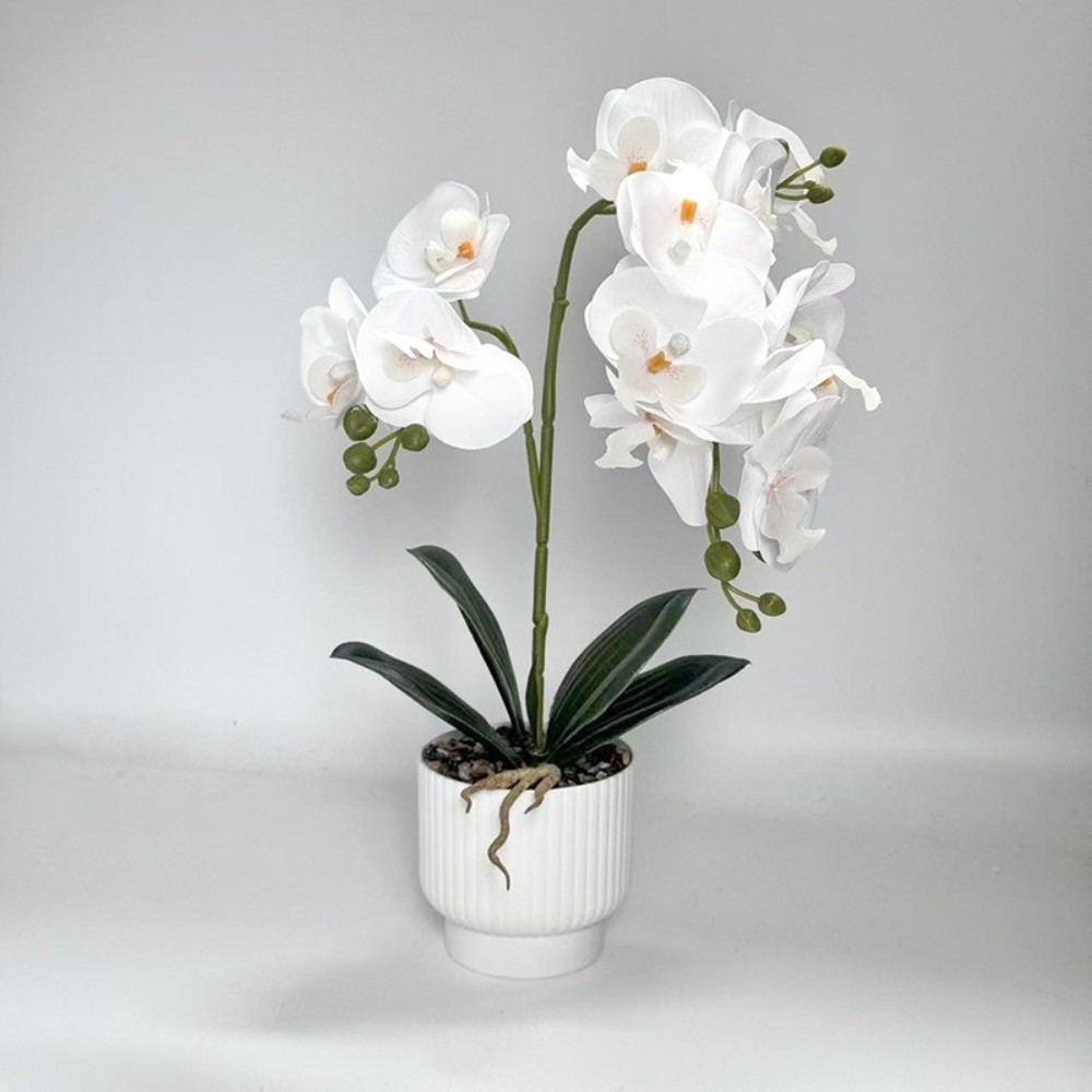 نبات الأوركيد الاصطناعي متعدد  - مراجعة Orchid Potting Mix وسعره
