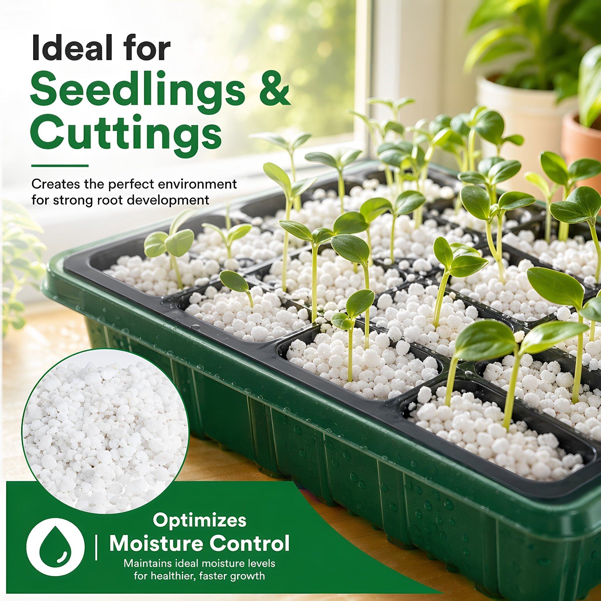 بيرلايت محسن تربة للحدائق البس - مراجعة Horticulture Soil Perlite وسعره