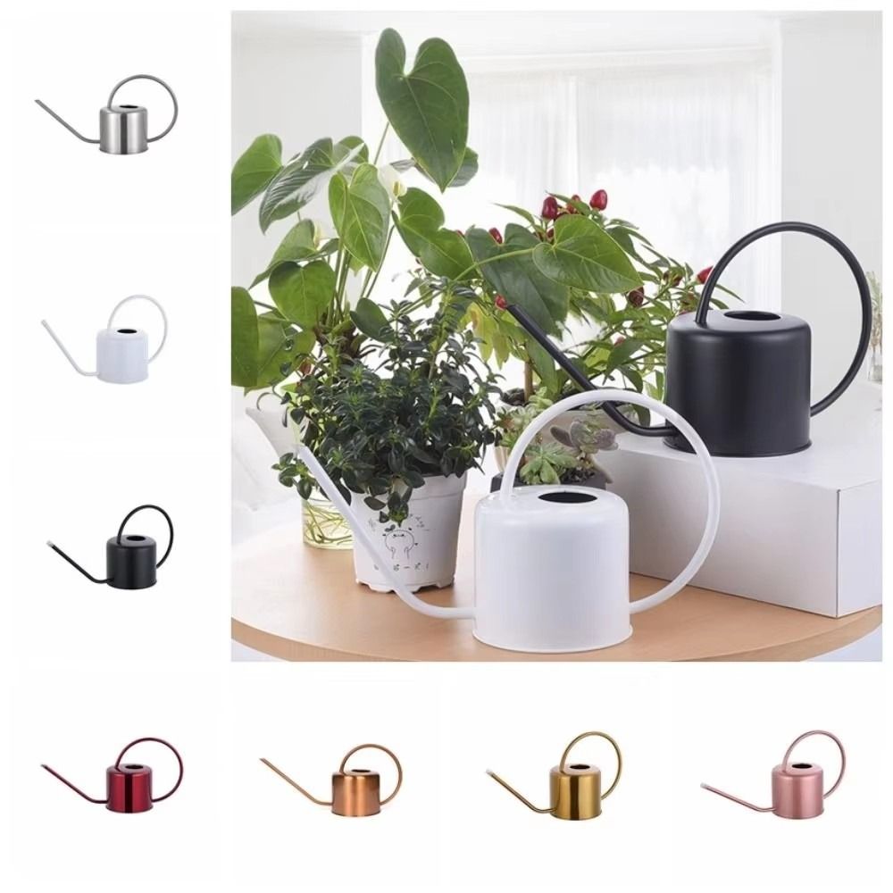إبريق سقي نباتات سعة 1.3 لتر م - مراجعة Watering Can Long Spout وسعره