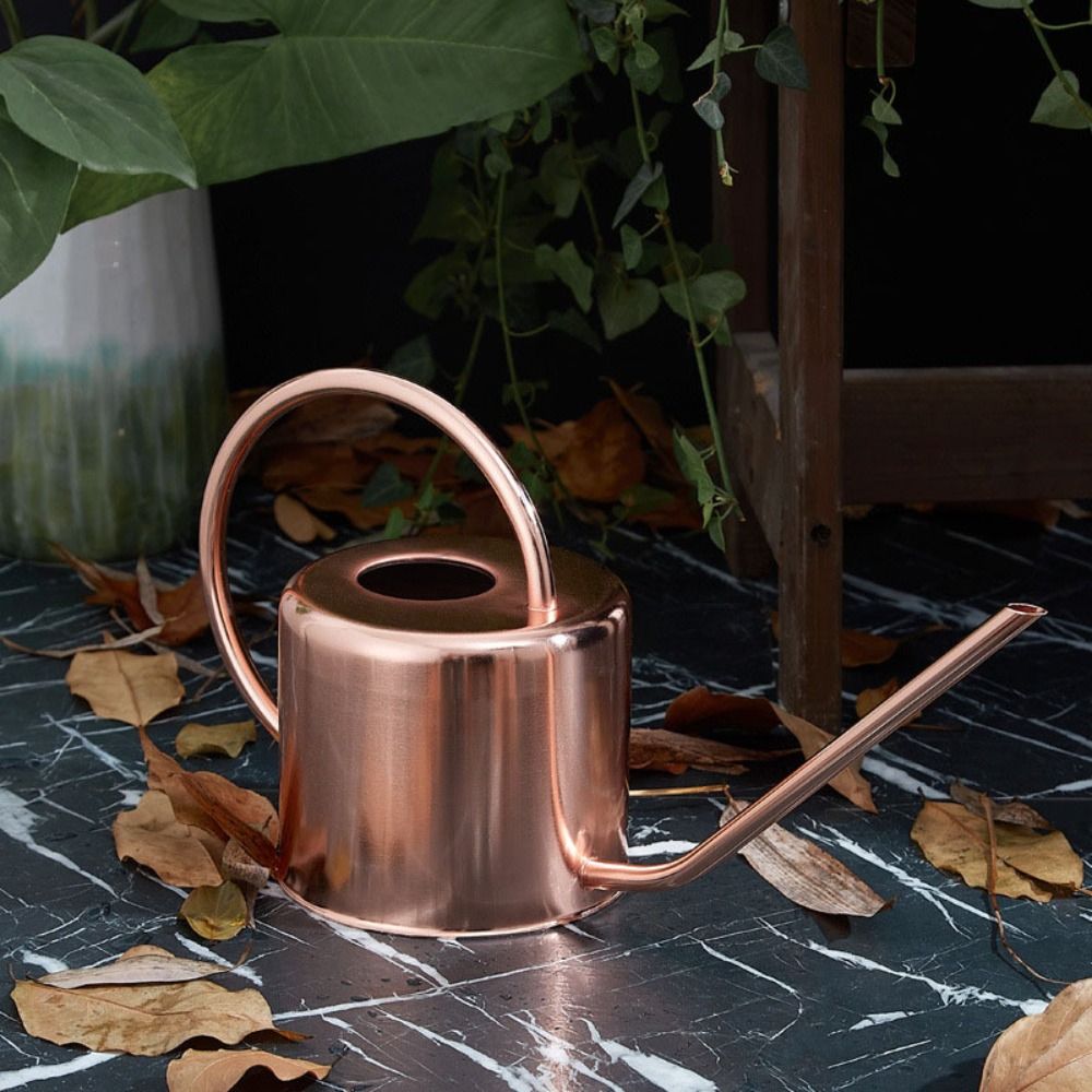 إبريق سقي نباتات سعة 1.3 لتر م - مراجعة Watering Can Long Spout وسعره