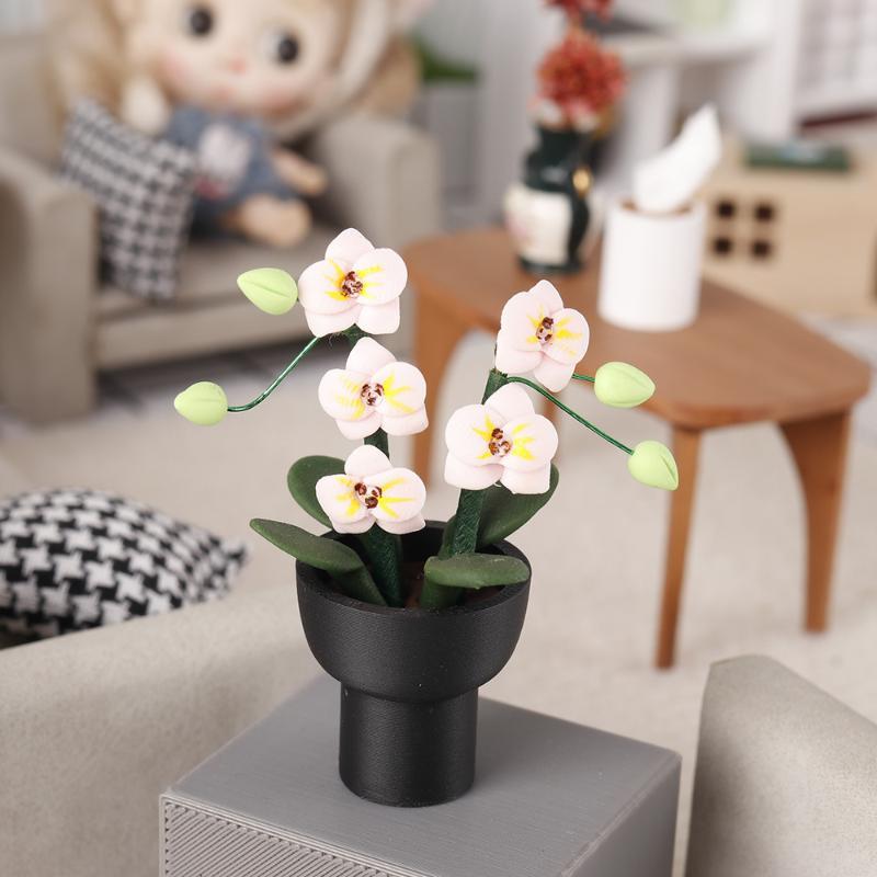 (.) نموذج نبات الأوركيد الاصطن - مراجعة Orchid Potting Mix وسعره