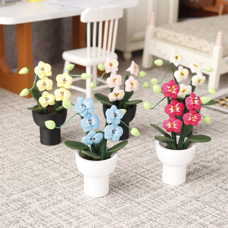 (.) نموذج نبات الأوركيد الاصطن - مراجعة Orchid Potting Mix وسعره