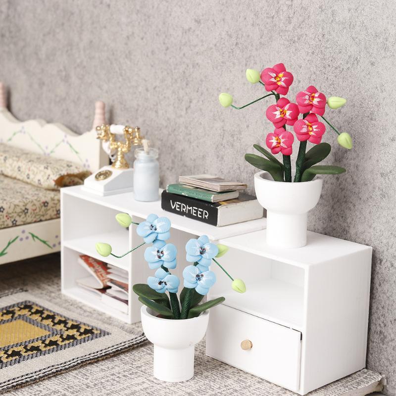 (.) نموذج نبات الأوركيد الاصطن - مراجعة Orchid Potting Mix وسعره