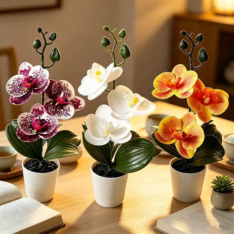 نبات أوركيد الفراشة الصغير في  - مراجعة Orchid Potting Mix وسعره