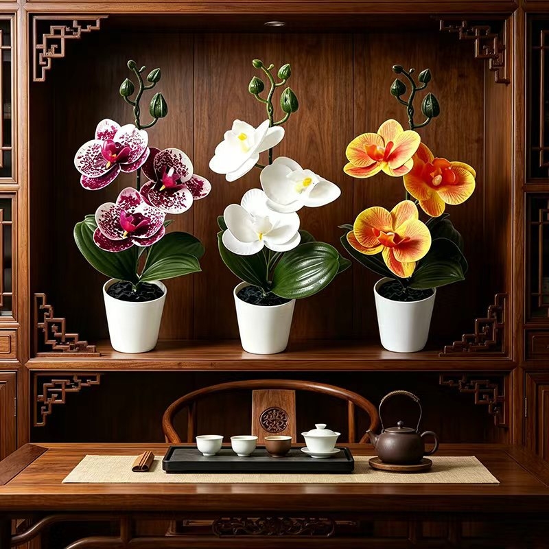 نبات أوركيد الفراشة الصغير في  - مراجعة Orchid Potting Mix وسعره