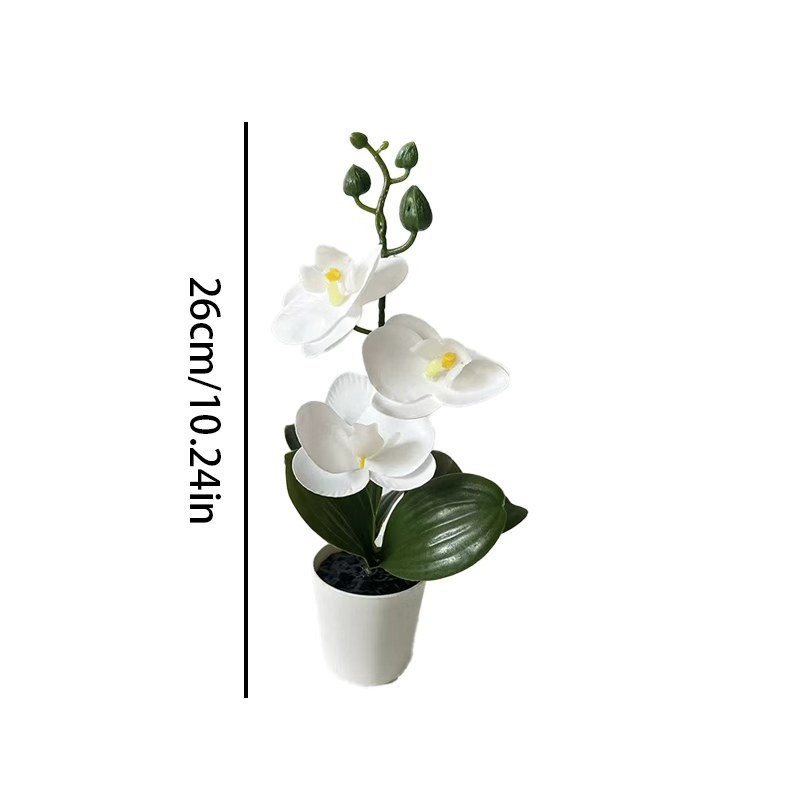 نبات أوركيد الفراشة الصغير في  - مراجعة Orchid Potting Mix وسعره