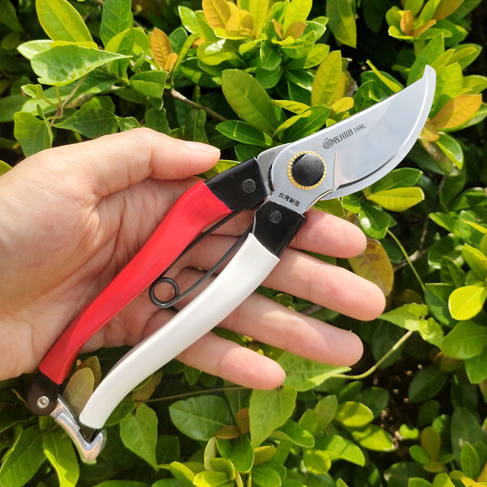 مقصات تشذيب فولاذية يابانية ،  - مراجعة Gardening Tools In Japan وسعره