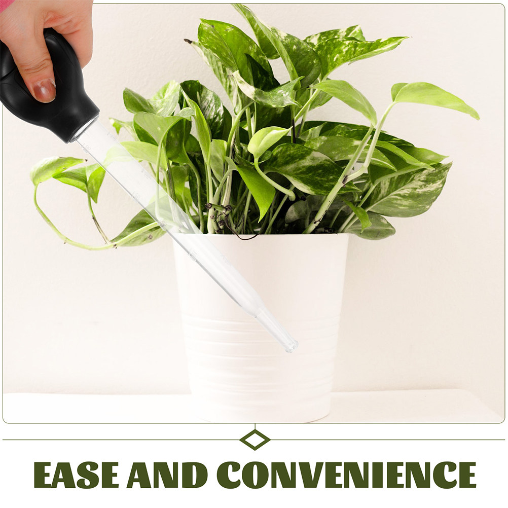 3 قطع صواني نباتات لامتصاص الم - مراجعة Gardening Tools Water وسعره