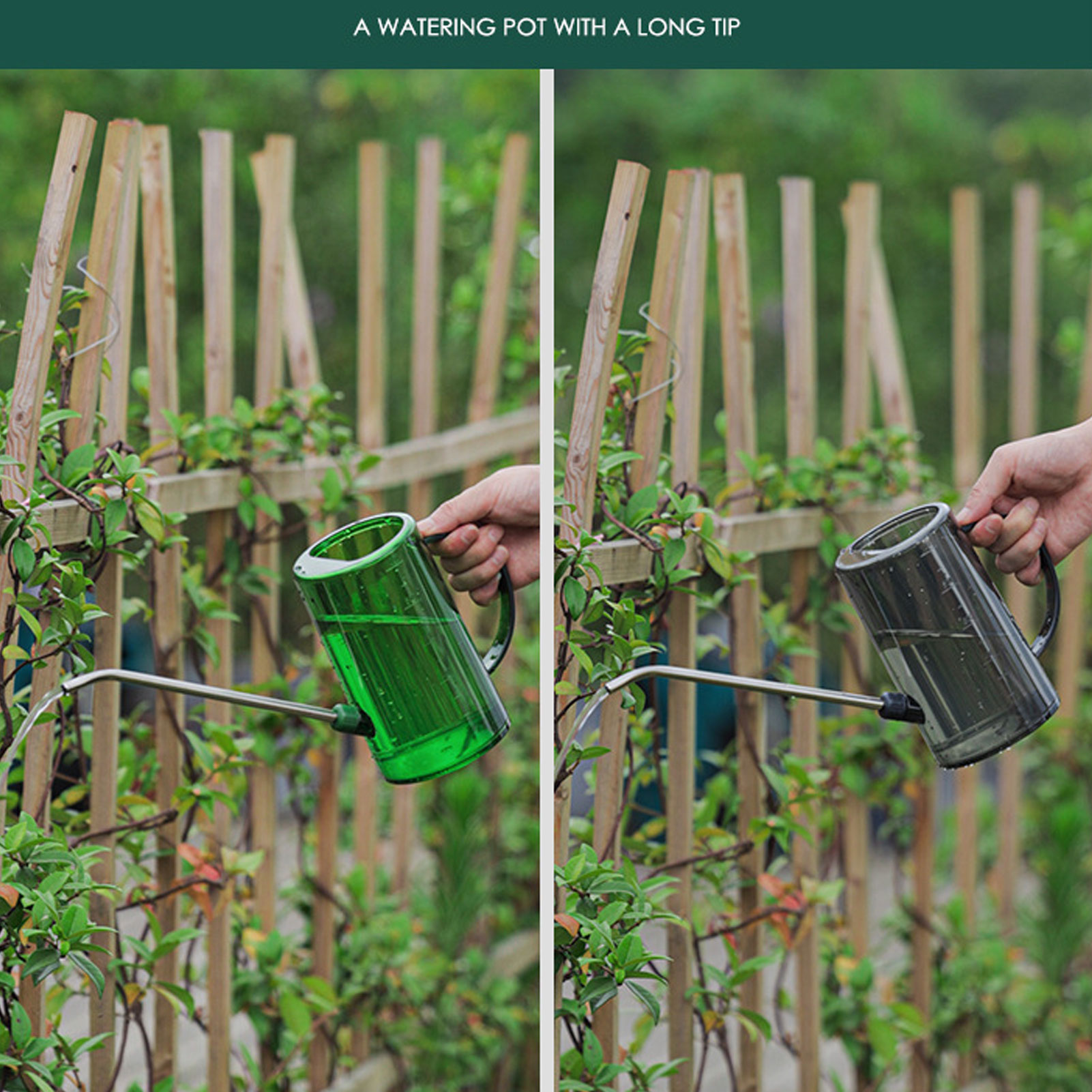 إبريق سقي للنباتات الداخلية سع - مراجعة Watering Can Long Spout وسعره