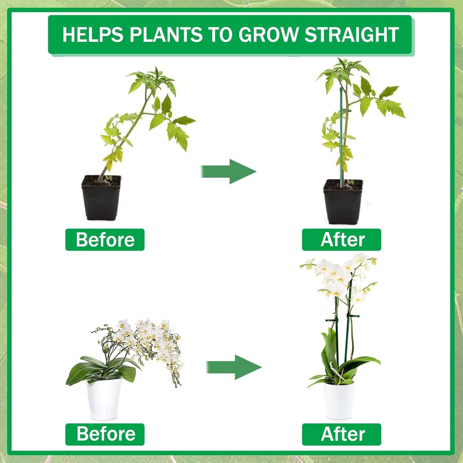 دعامات نباتات قابلة للتعديل، أ - مراجعة Orchid Potting Mix وسعره