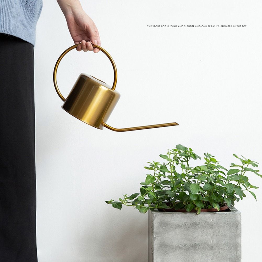 U جودة عالية 1.3L غلاية رش الن - مراجعة Watering Can Long Spout وسعره