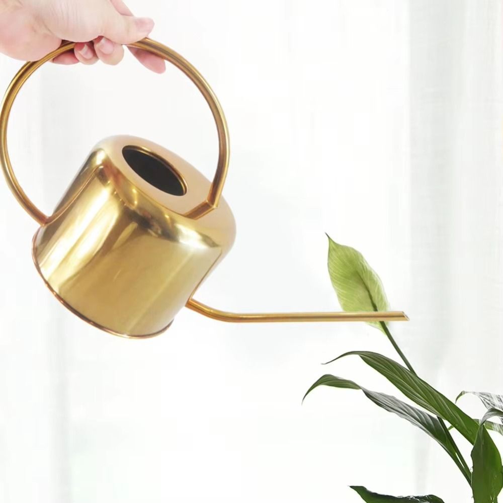 U جودة عالية 1.3L غلاية رش الن - مراجعة Watering Can Long Spout وسعره