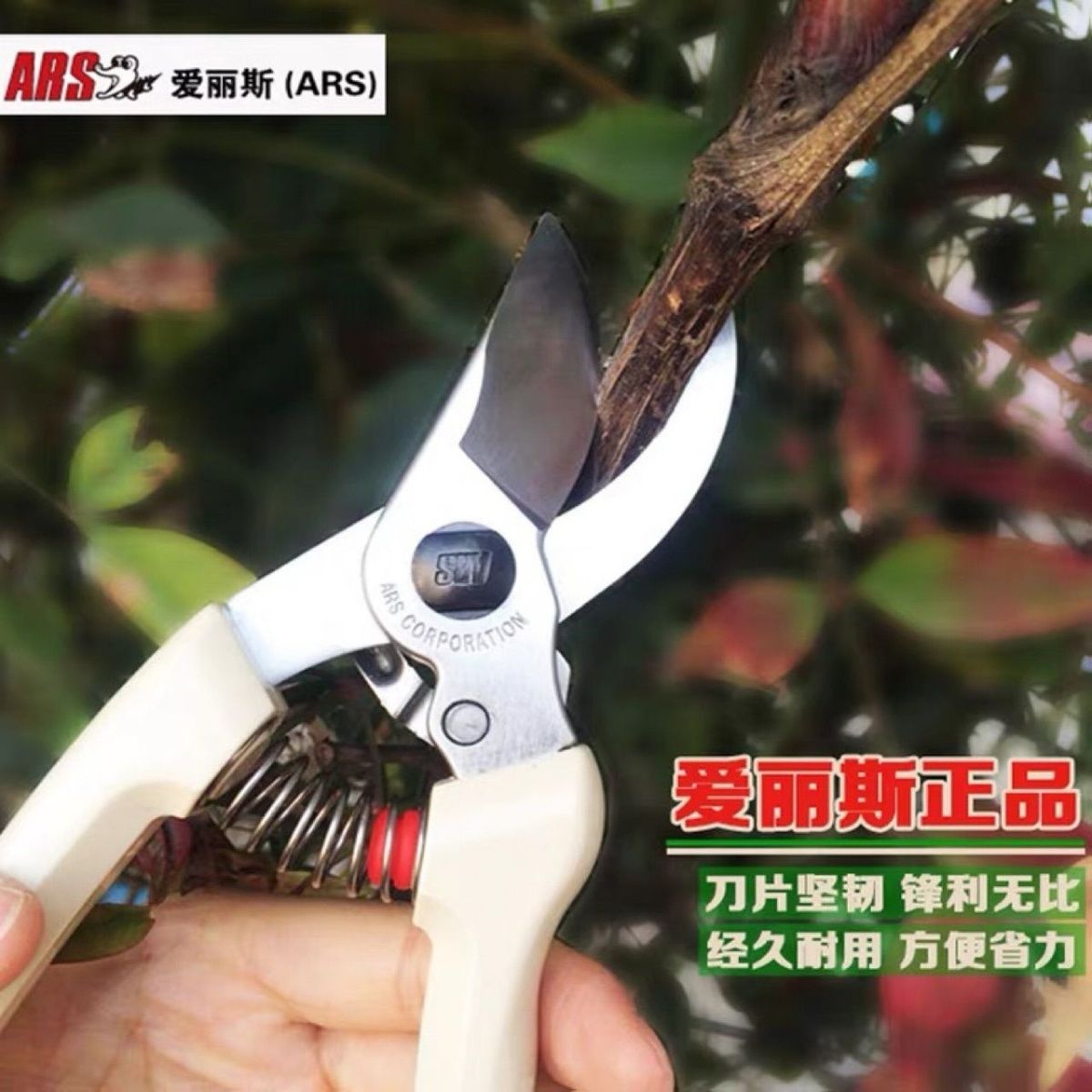 مقص التقليم، أدوات الحدائق، قط - مراجعة Gardening Tools In Japan وسعره