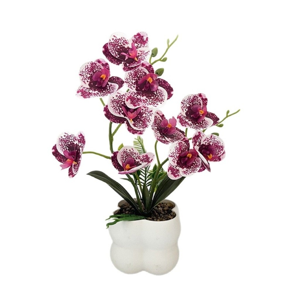 زهرة الأوركيد الاصطناعية متعدد - مراجعة Orchid Potting Mix وسعره