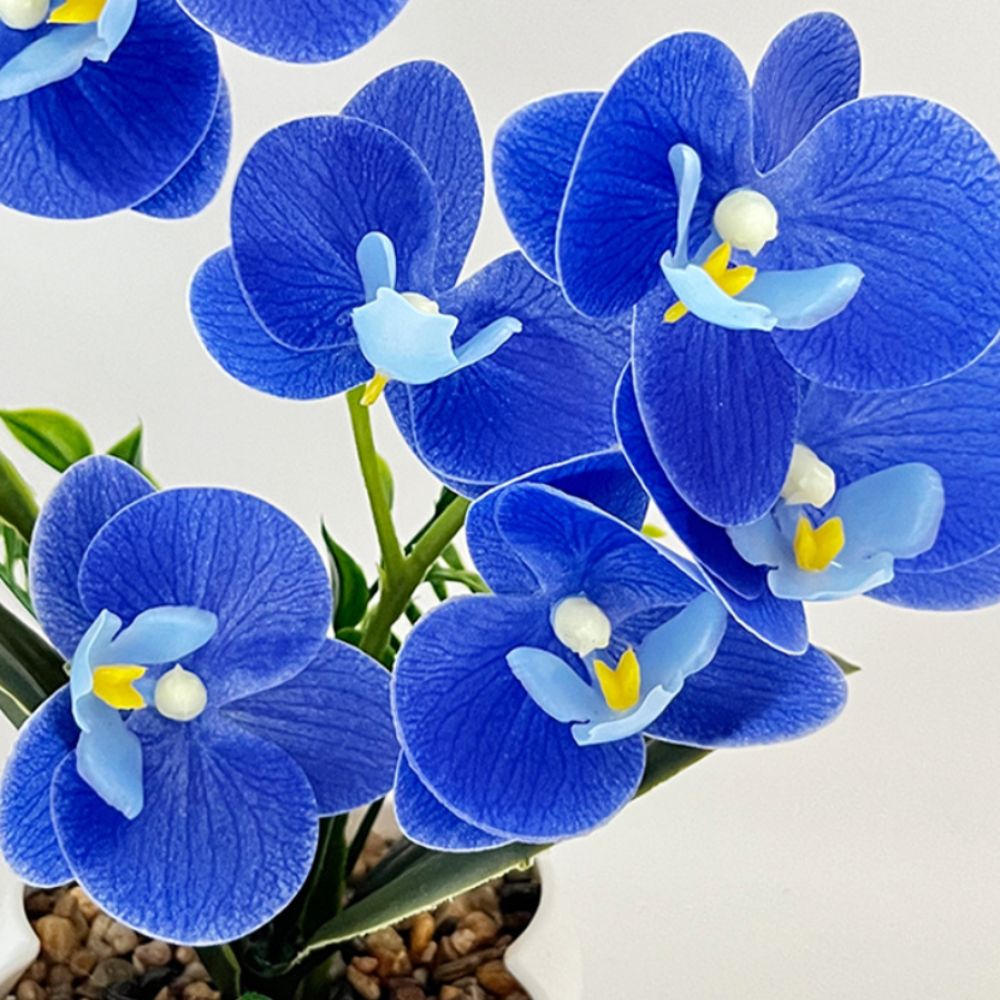 زهرة الأوركيد الاصطناعية متعدد - مراجعة Orchid Potting Mix وسعره
