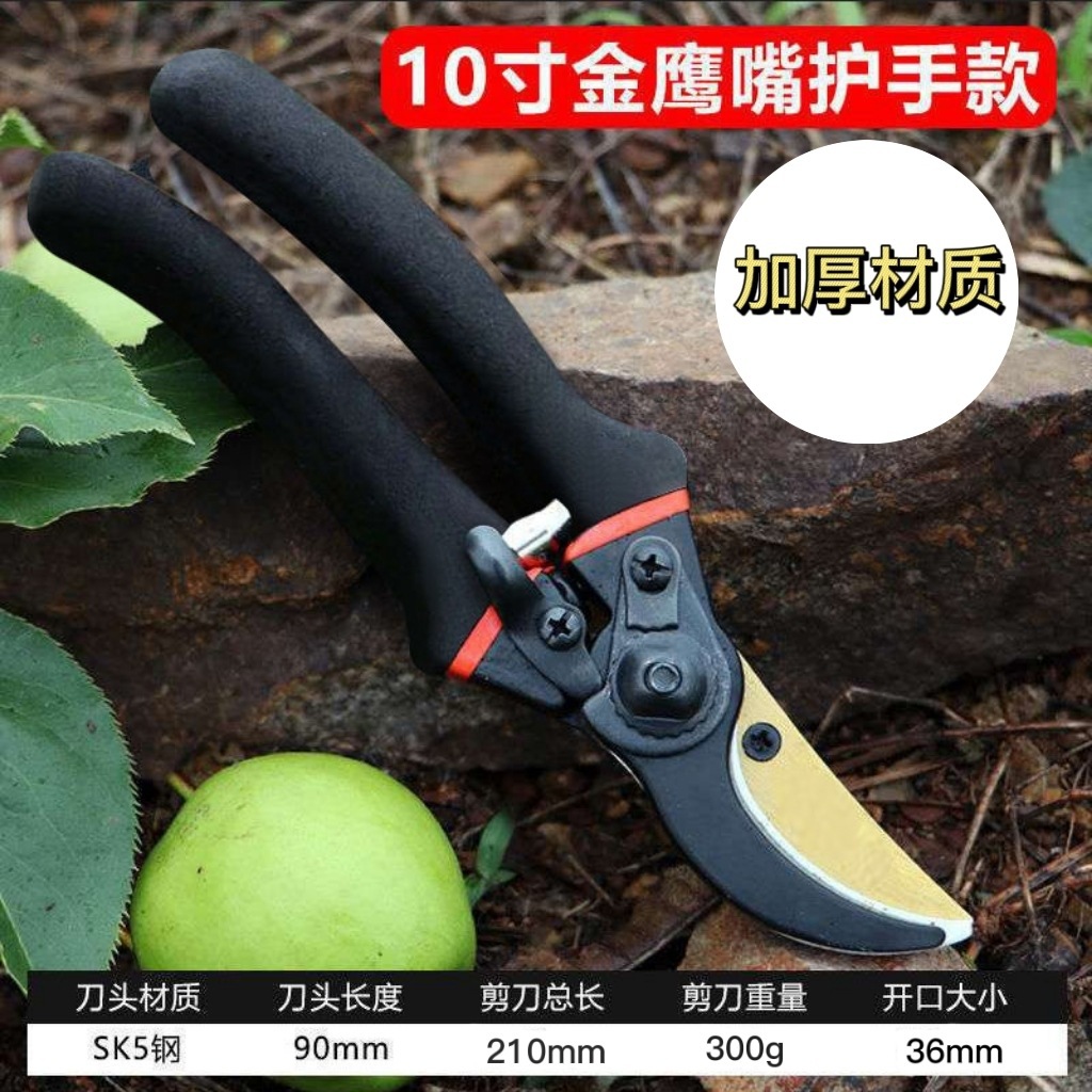 مقص أغصان ياباني مصنوع من الفو - مراجعة Gardening Tools In Japan وسعره
