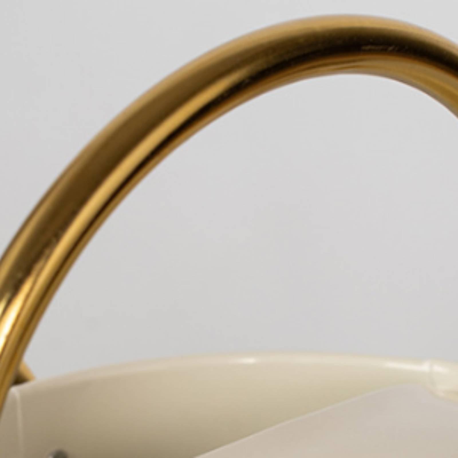 إبريق سقي معدني طويل الفوهة ما - مراجعة Watering Can Long Spout وسعره