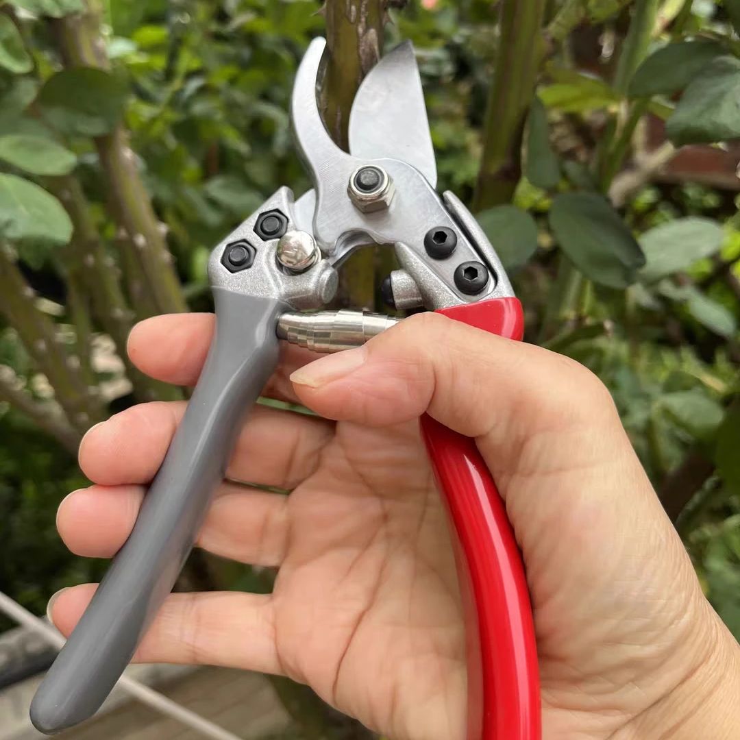 مقص تقليم ياباني جديد قوي من ا - مراجعة Gardening Tools In Japan وسعره