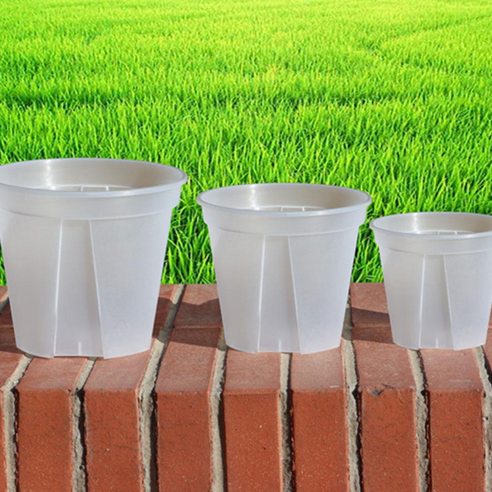 الأواني البلاستيكية الشفافة أو - مراجعة Orchid Potting Mix وسعره