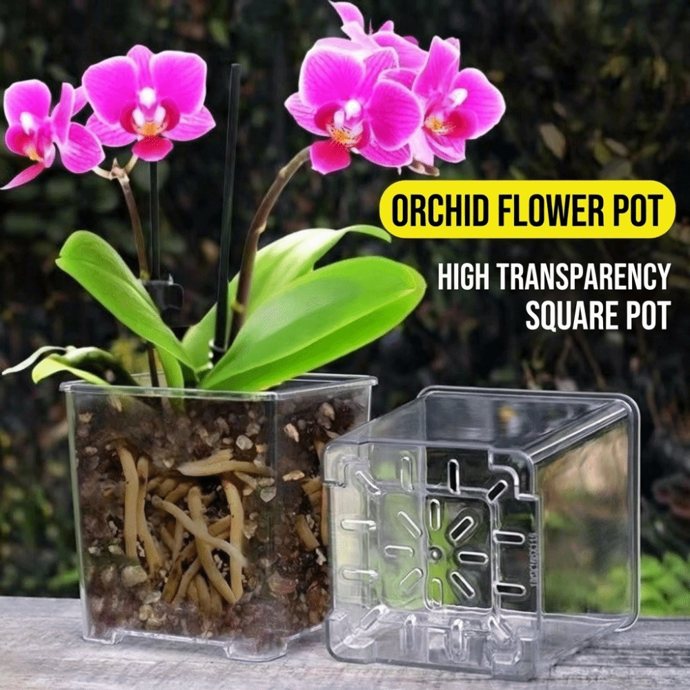 5 قطع/طقم أوعية أوركيد بلاستيك - مراجعة Orchid Potting Mix وسعره
