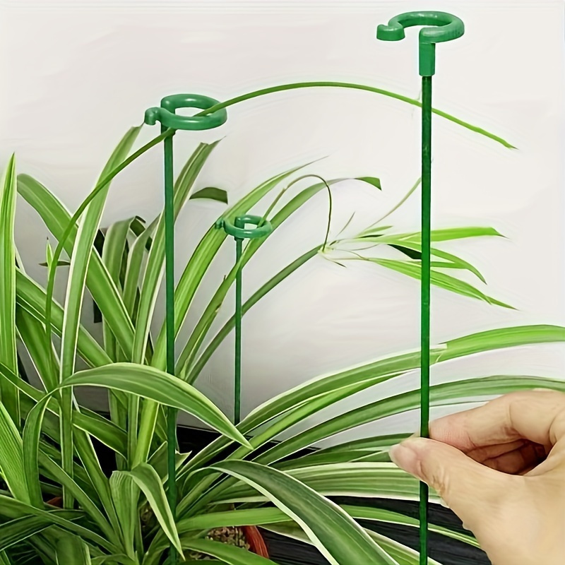 6 قطعة أوتاد دعم النباتات البل - مراجعة Orchid Potting Mix وسعره