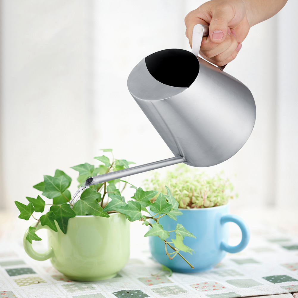1.5L الفولاذ المقاوم للصدأ مسق - مراجعة Watering Can Long Spout وسعره