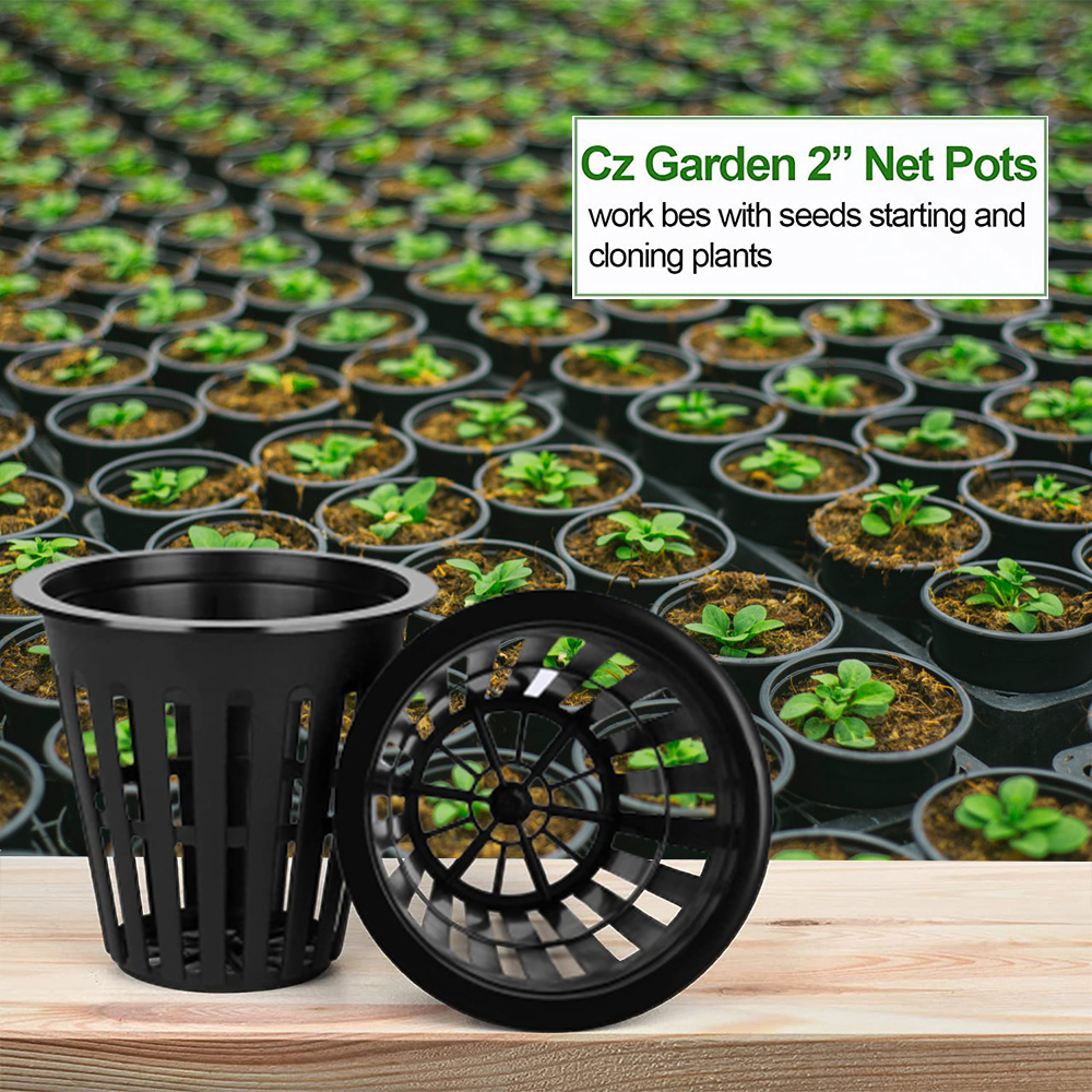 2 بوصة حديقة الحضانة الأواني ا - مراجعة Orchid Potting Mix وسعره